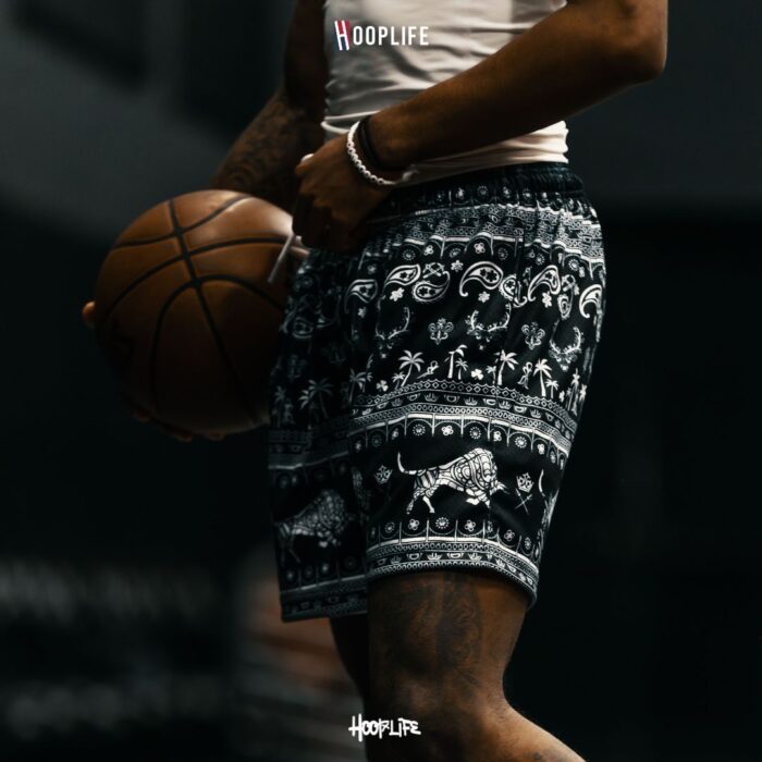Hooplife " CHANG " Mesh Shorts - Image 2