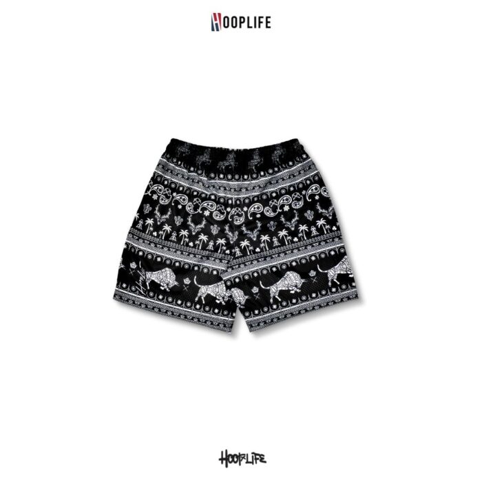 Hooplife " CHANG " Mesh Shorts - Image 7