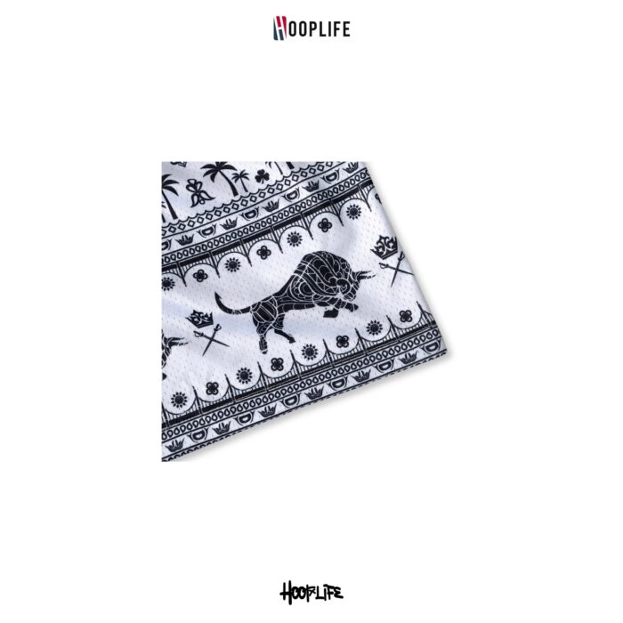Hooplife " CHANG " Mesh Shorts - Image 6