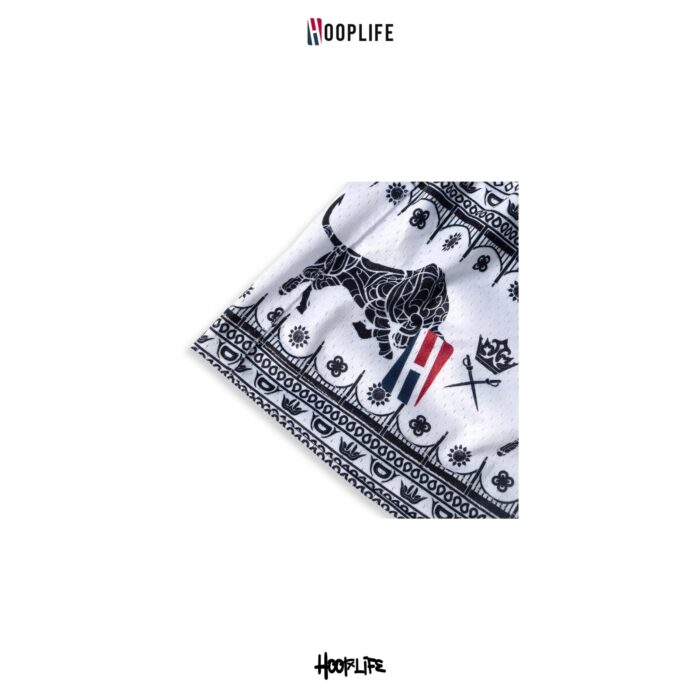 Hooplife " CHANG " Mesh Shorts - Image 5